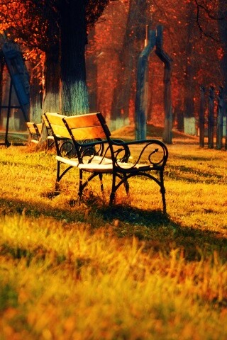 Скаймейка в осеннем парке обои