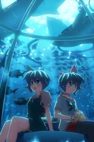 В океанариуме обои