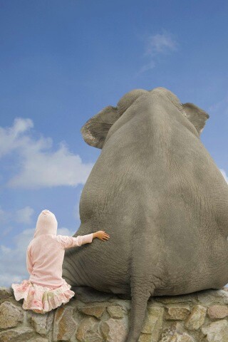 Девочка и слон обои