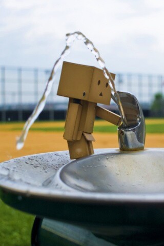 Дандо пьет в воду из фонтанчика обои