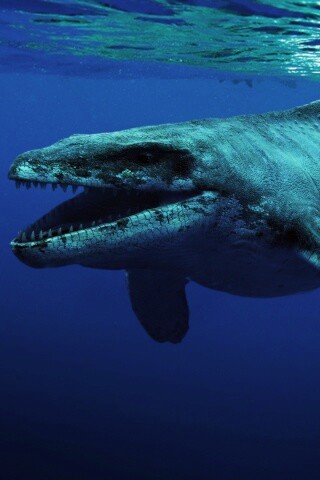 Морской динозавр обои