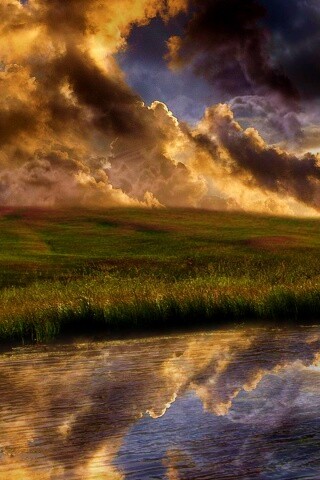 Тучи над лугом обои