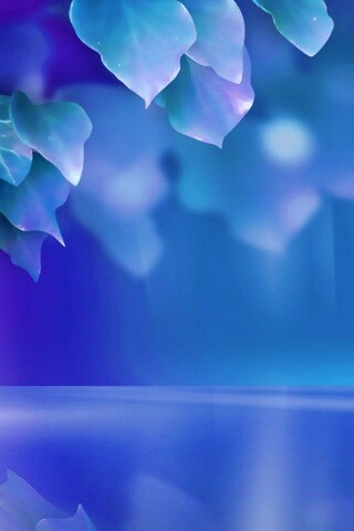 Синие листья обои