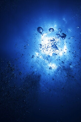 Всплывающие пузыри обои