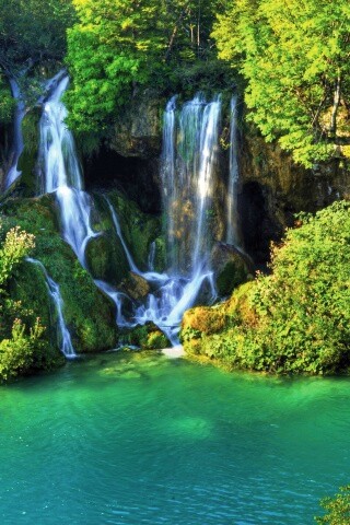 Водопад в дикой природе обои