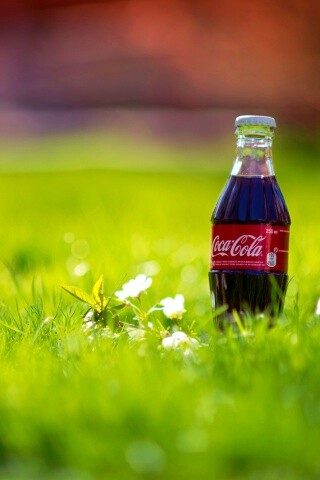 Кока-Кола на траве обои