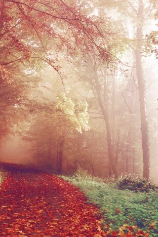 Осенний мистический пейзаж обои