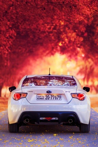 Субару на осенней дороге обои