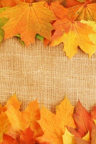 Желтые кленовые листья на холсте обои