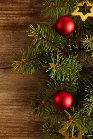 Новогодние игрушки на еловой ветке обои