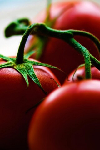 Аппетитные помидоры обои