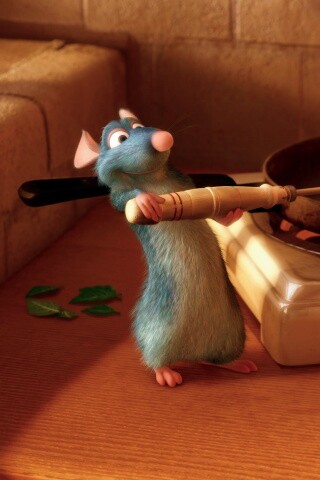 Рататуй у плиты обои