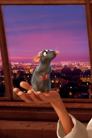 Рататуй на ладони обои