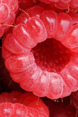 Малина обои