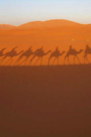 Караван обои