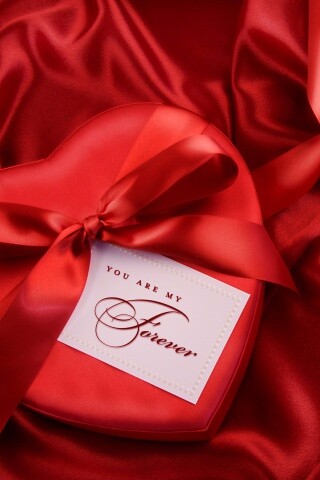 Ты — моя на вечно обои