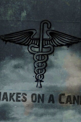 Змеи на трости обои