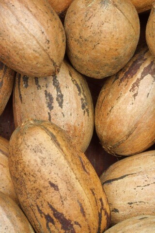 Грецкие орехи обои