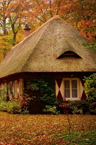 Домик в осеннем лесу обои