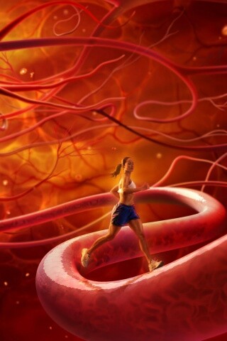 Бег крови обои