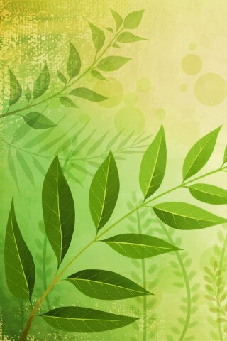 Веточка молодых листьев обои