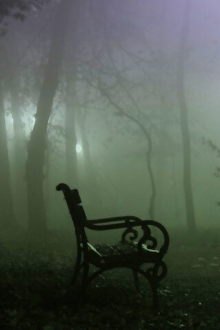 Темный лес обои