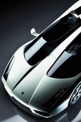 Светло-серый Lamborghini обои