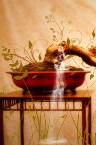 Карликовое дерево обои