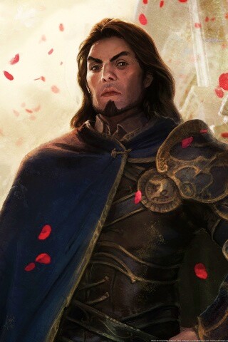 Рыцарь обои