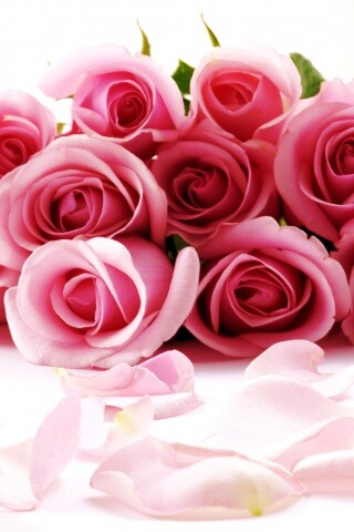 Букет роз обои