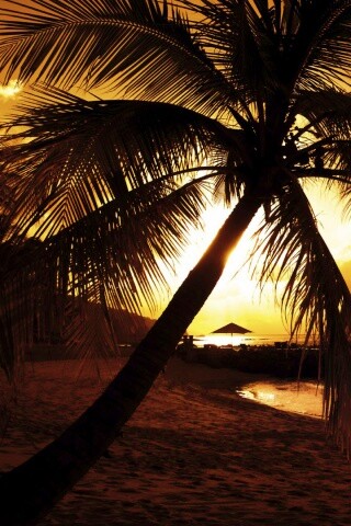 Пляж на закате обои