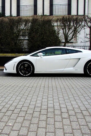 Белый Lamborghini обои