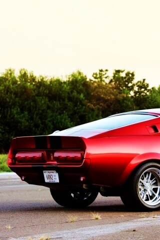 Shelby GT500 CR обои