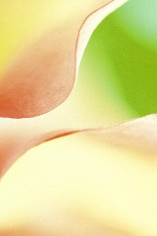 Оттенки природы обои