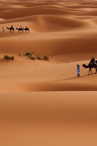 Караваны пустыни обои