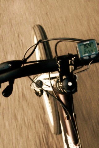 Катание на велосипеде обои