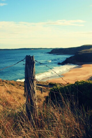 Пляж на озере обои