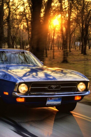 Мустанг обои