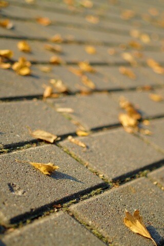 Тротуар обои