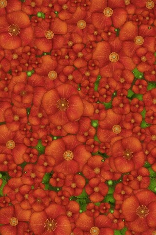 Рисунко с красными цветами обои