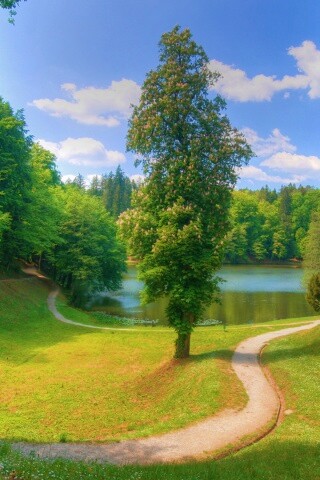 Прекрасная природа обои