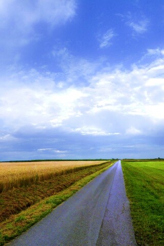 Сельский пейзаж обои