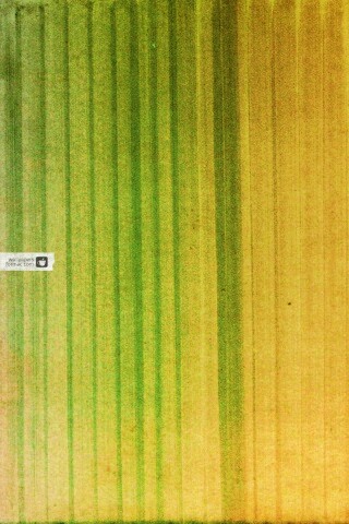 Обои для Apple обои