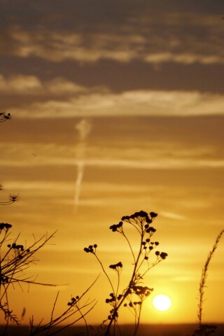 Степной закат обои