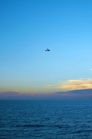 Паращий над морем обои