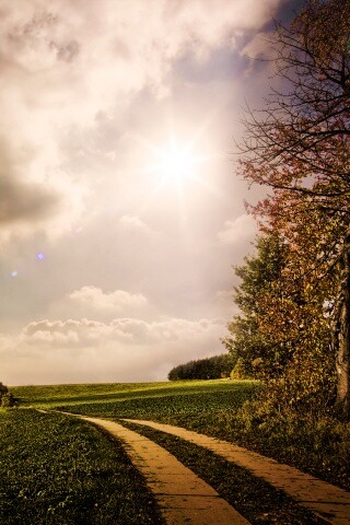 Солнечные холмы обои