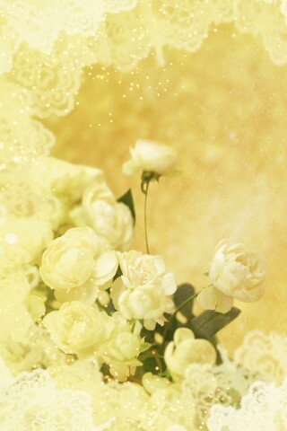 Бежевые кружева и розы обои