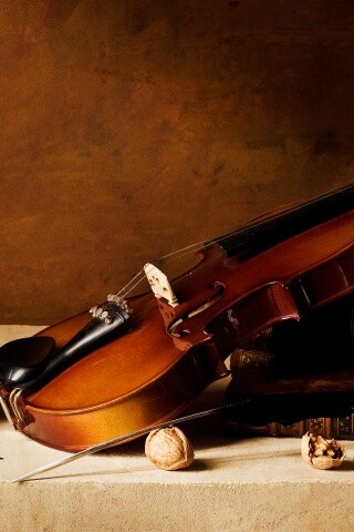 Композиция со скрипкой обои