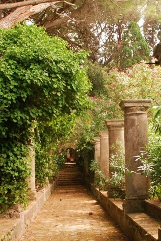 Галерея зимнего сада обои