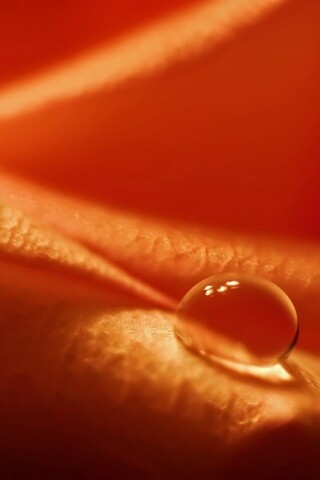 Капелька обои